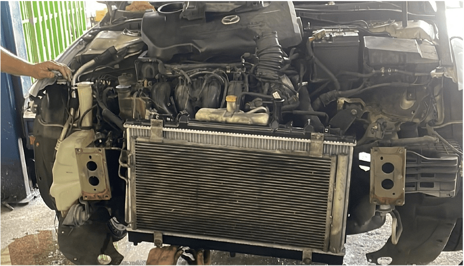Radiadores y Mufflers